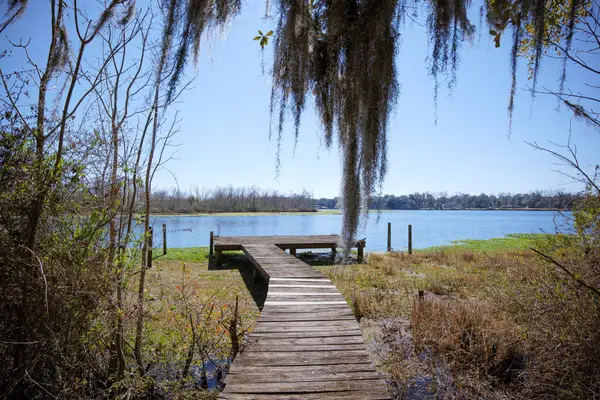 4142 Burning Tree Ln, Jacksonville, FL 32223