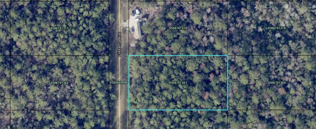10530 Flikkema Ave, Hastings, FL 32145 - #1