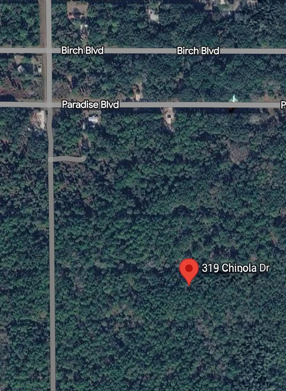 319 Chipola Dr, Georgetown, FL 32139 - #1