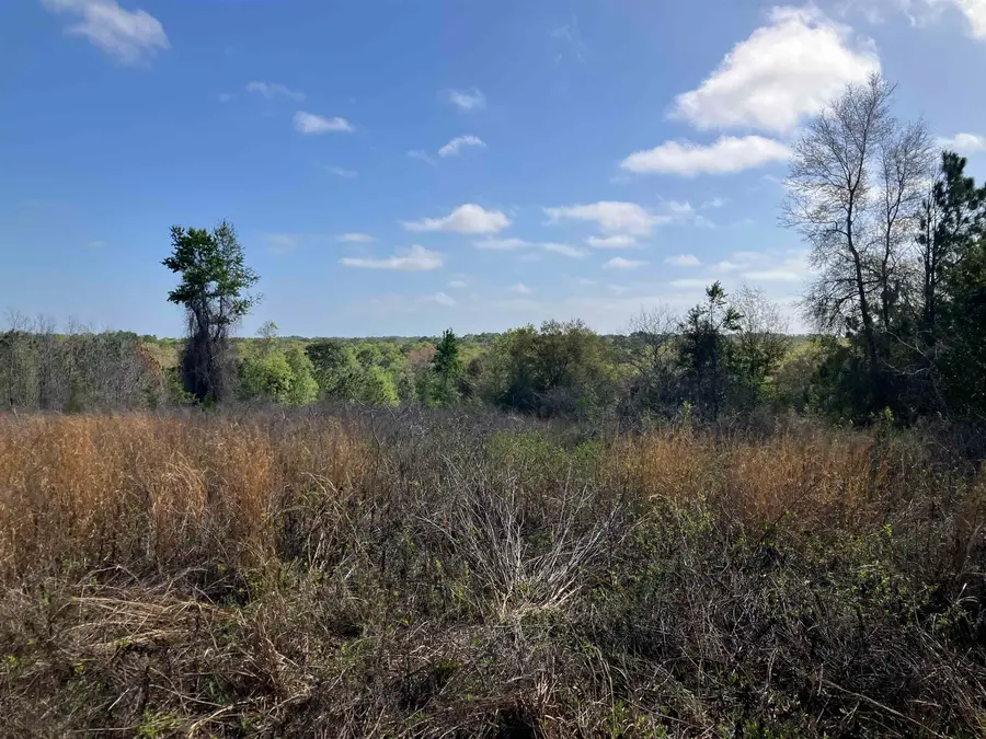 1083 N Obrien Pt., Lecanto, FL 34461 - #2