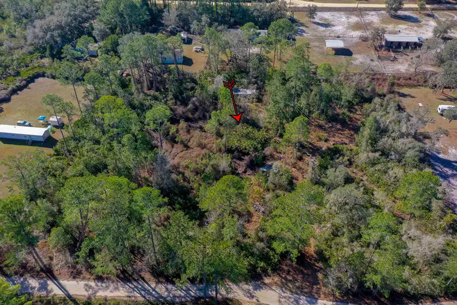 33150 Forest Ridge Rd, Deland, FL 32720 - #3