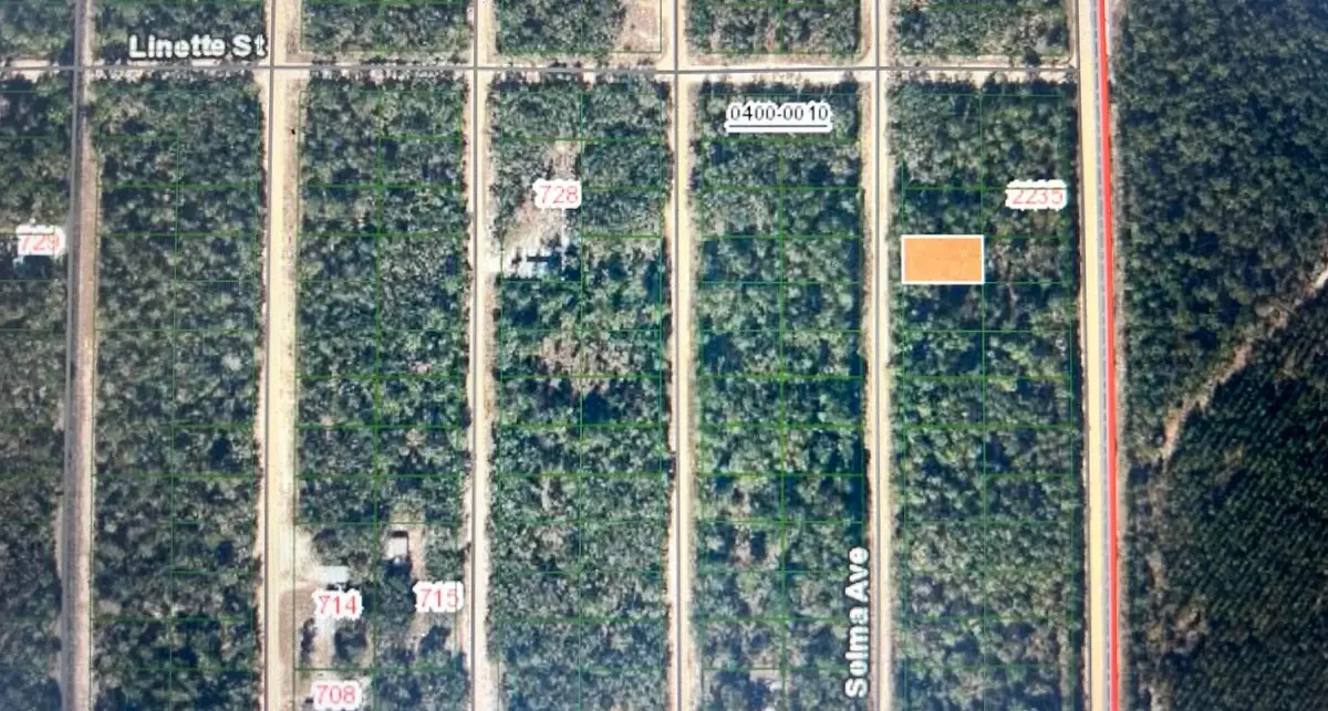 0B Selma Ave, Interlachen, FL 32148 - #1
