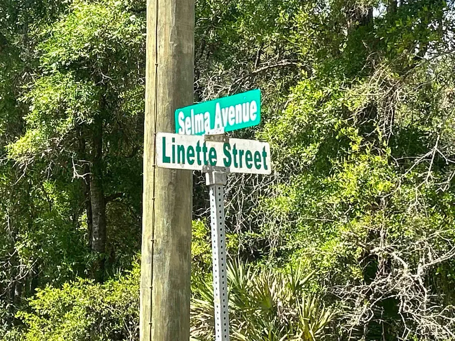 0B Selma Ave, Interlachen, FL 32148 - #2