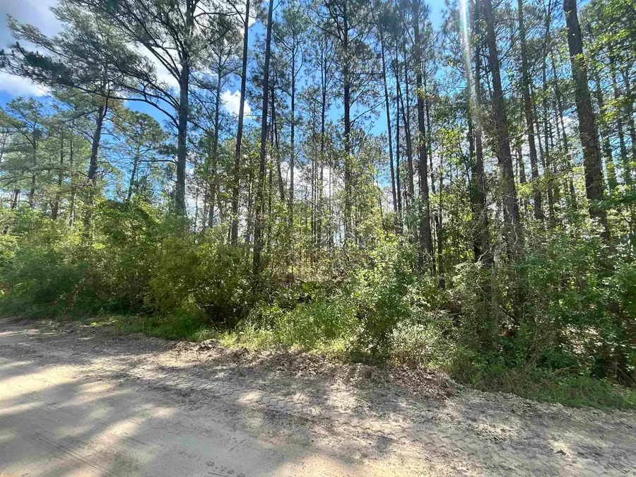 0B Selma Ave, Interlachen, FL 32148 - #3