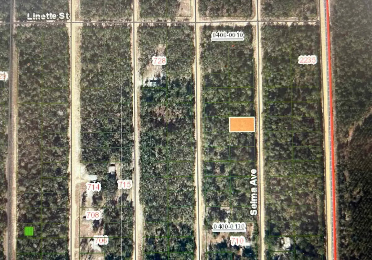 0A Selma Avr, Interlachen, FL 32148 - #1