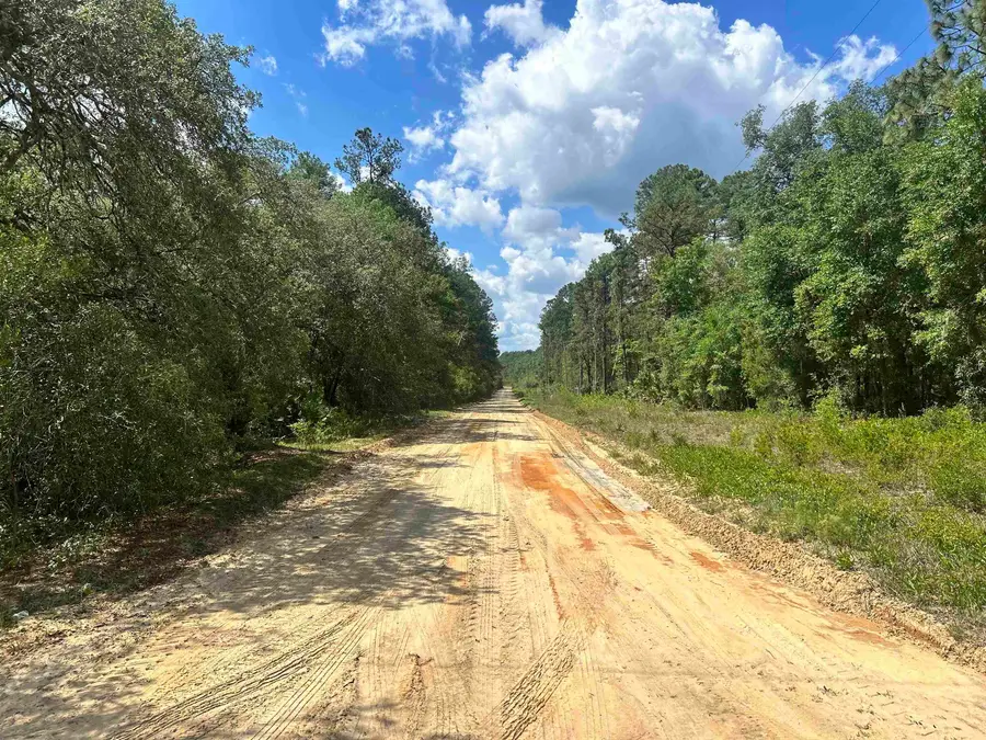 0A Selma Ave, Interlachen, FL 32148 - #3
