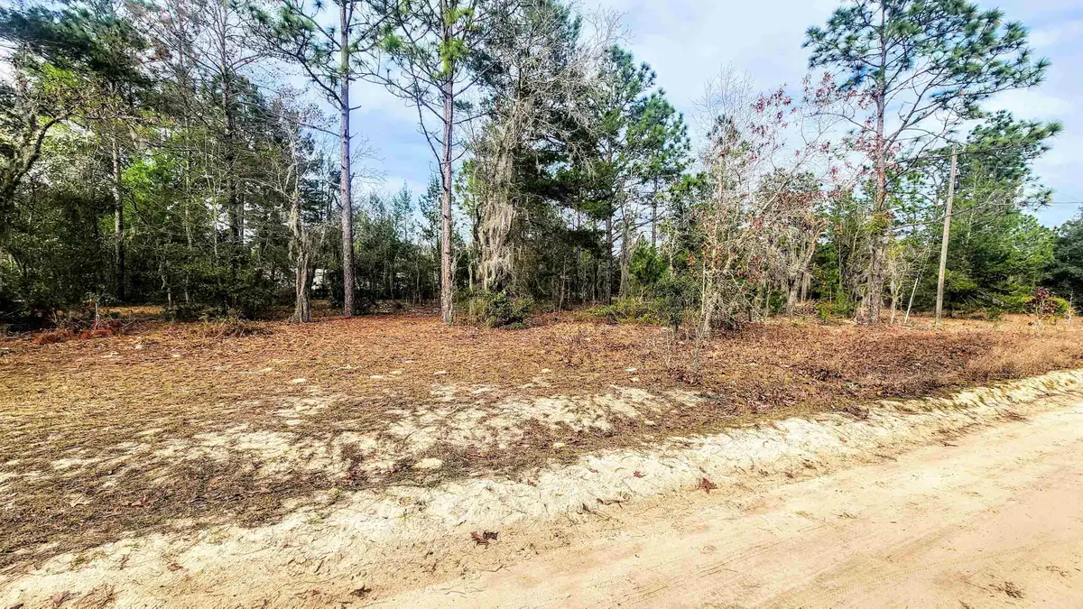 Caribbean St, Interlachen, FL 32148 - #1