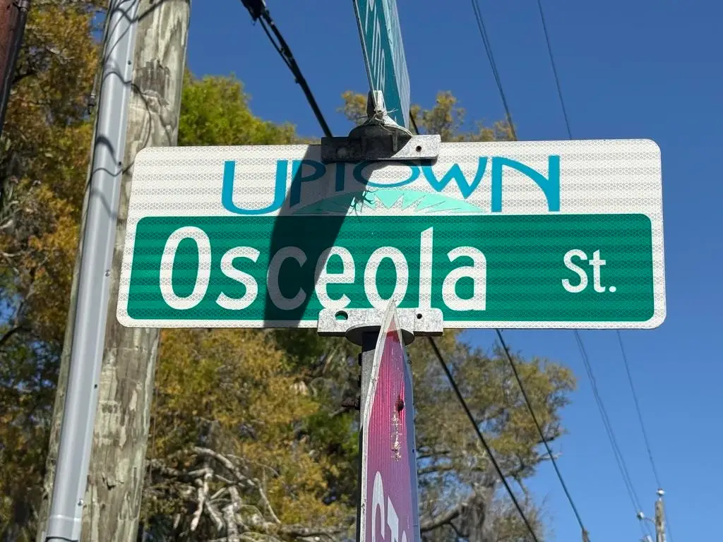 45 Osceola St., Saint Augustine, FL 32084 - #1