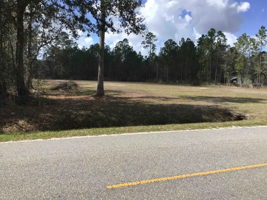 10305 Allison Ave, Hastings, FL 32145 - #2