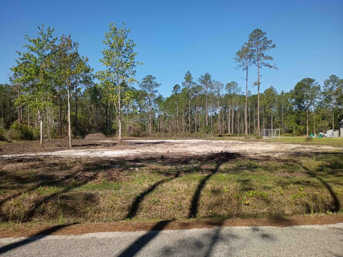 10035 Amos Ave, Hastings, FL 32145 - #1