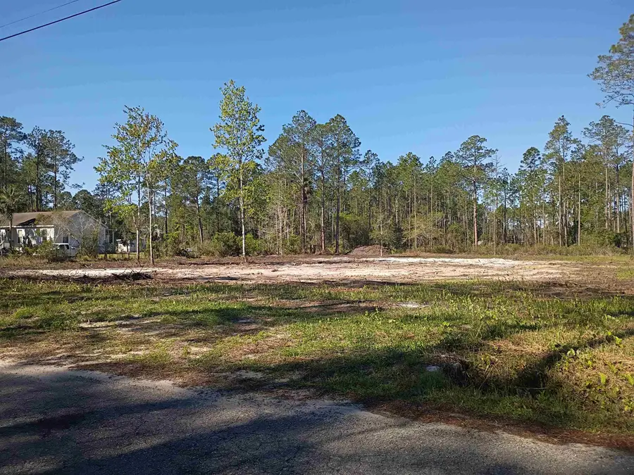 10035 Amos Ave, Hastings, FL 32145 - #2