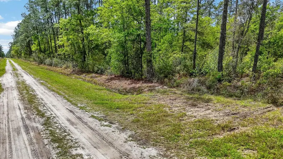 10065 Hennessey Ave, Hastings, FL 32145 - #2