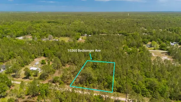10260 Beckenger Ave, Hastings, FL 32145