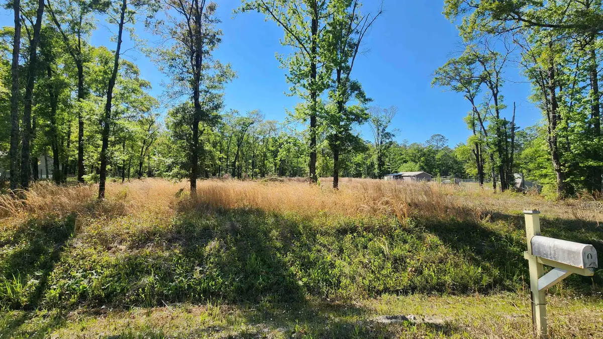 10235 W Deep Creek Blvd, Hastings, FL 32145 - #1