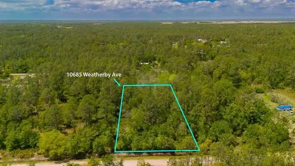 10685 Weatherby Ave, Hastings, FL 32145