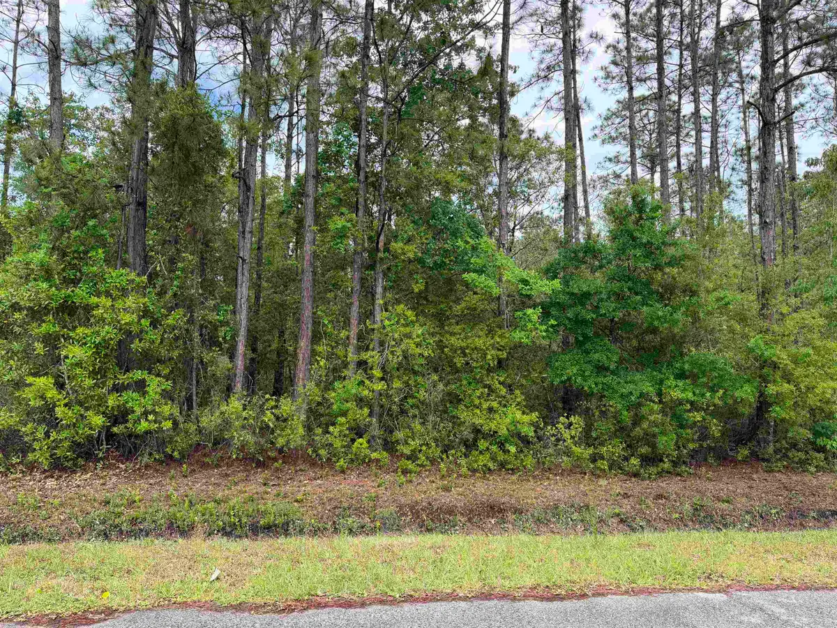 4120-2 Melanie St, Hastings, FL 32145 - #1