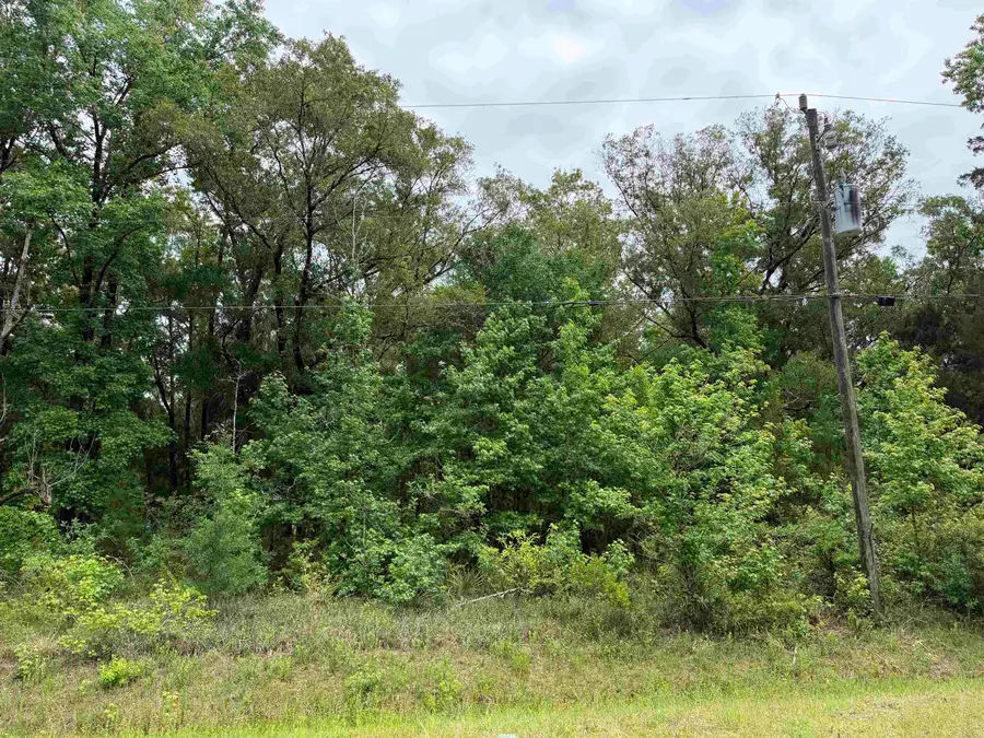 4120-2 Melanie St, Hastings, FL 32145 - #3