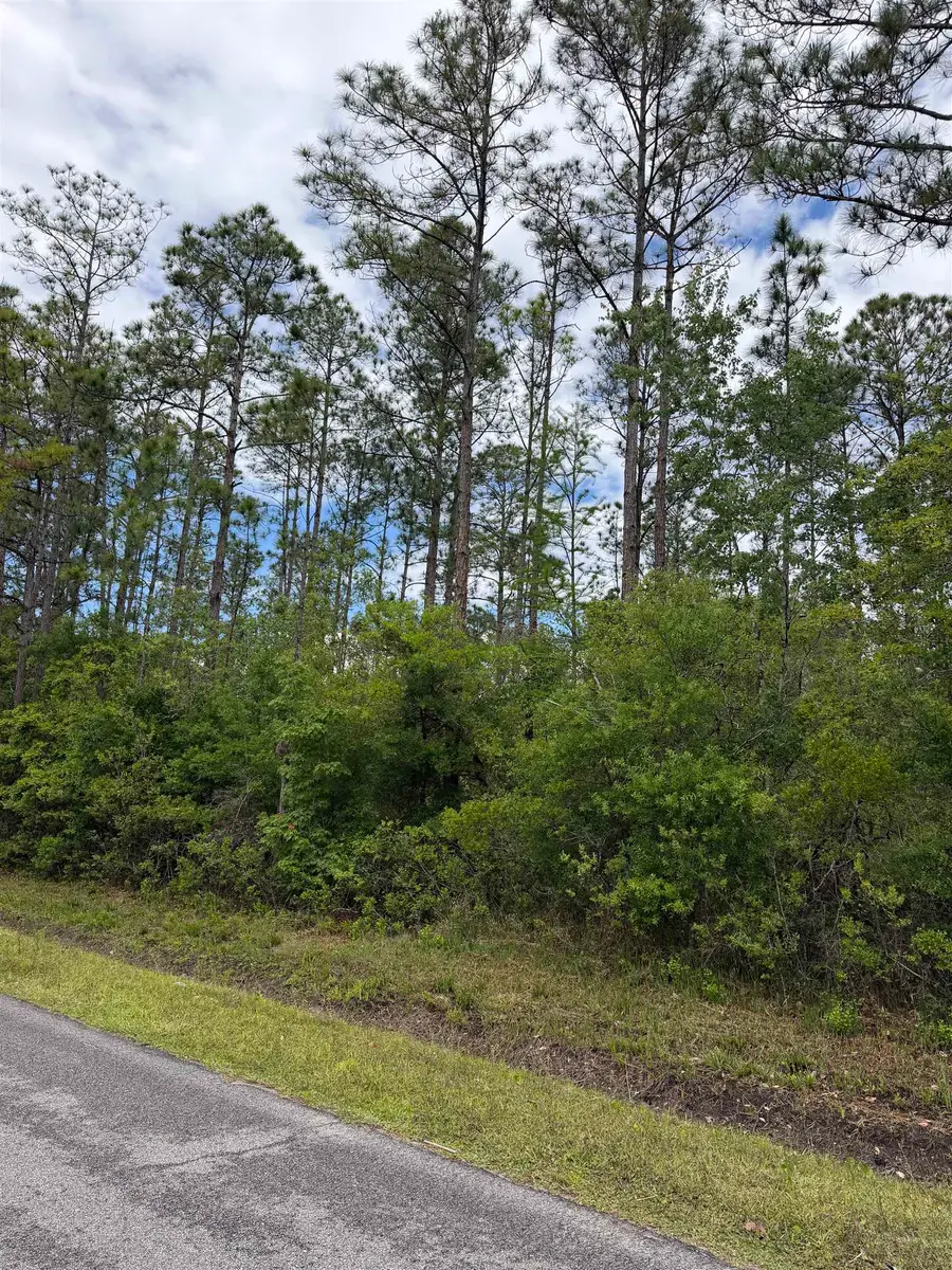 4120-1 Melanie St, Hastings, FL 32145 - #2