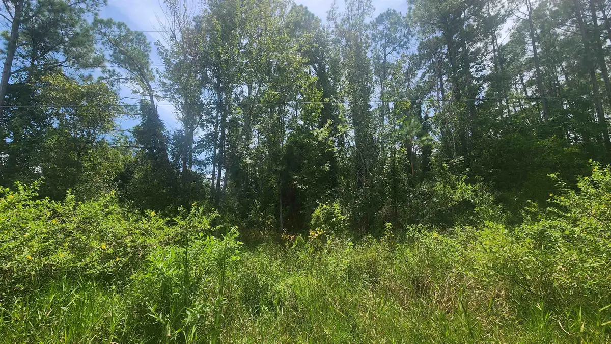 233 Rosewood, Georgetown, FL 32139 - #1