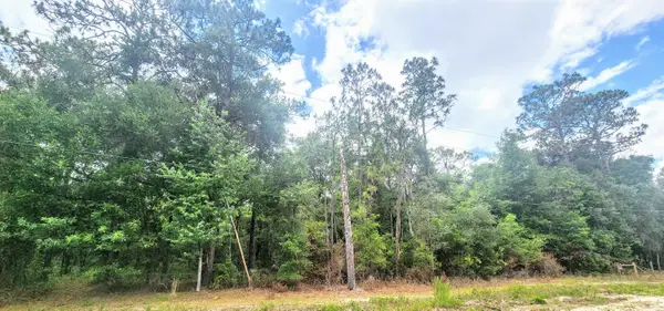 415 Pheasant Rd, Satsuma, FL 32189
