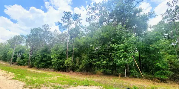 413 Pheasant Rd, Satsuma, FL 32189