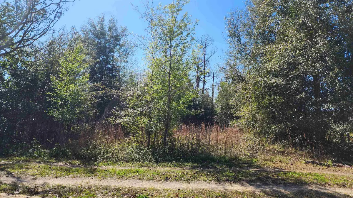 233 Bay St, Hawthorne, FL 32640 - #1