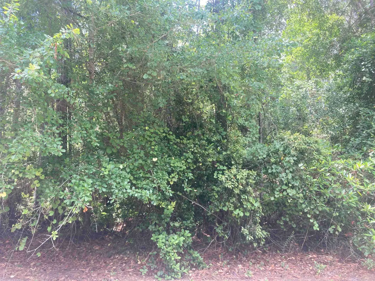 327 Palm Way, Georgetown, FL 32139 - #1