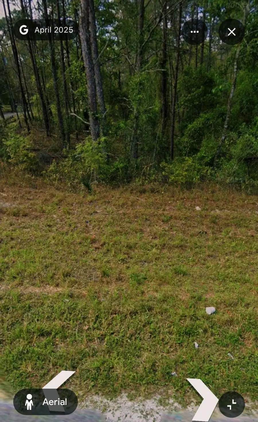 308 Kingston Blvd, Satsuma, FL 32189 - #3