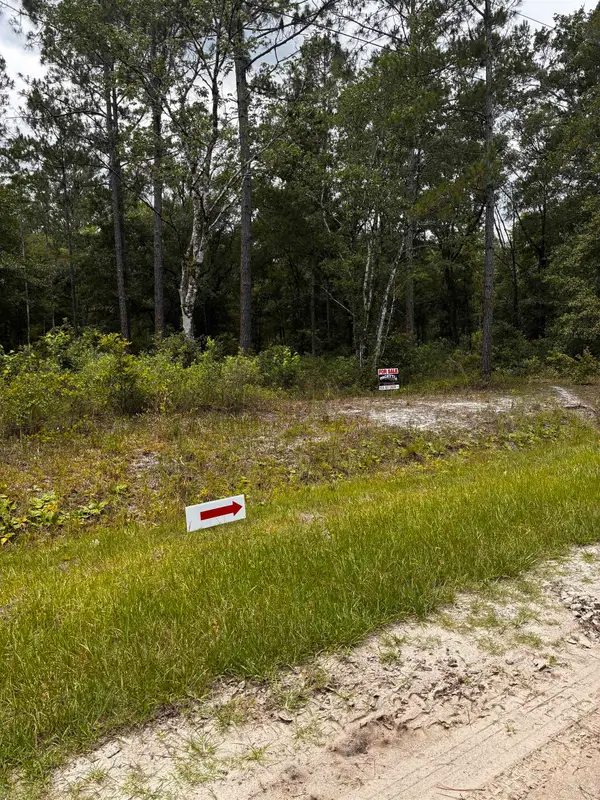4715 Roberta Street Hastings Fl 32145, Hastings, FL 32145