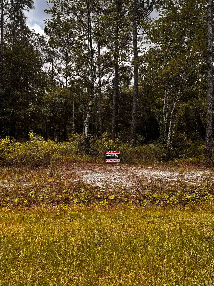 4715 Roberta Street Hastings Fl 32145, Hastings, FL 32145 - #2