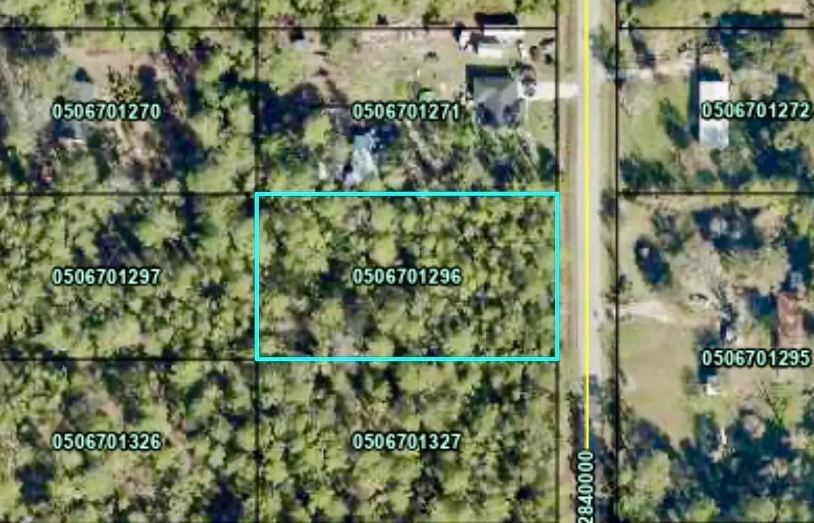 10515 Allison Ave, Hastings, FL 32145 - #1