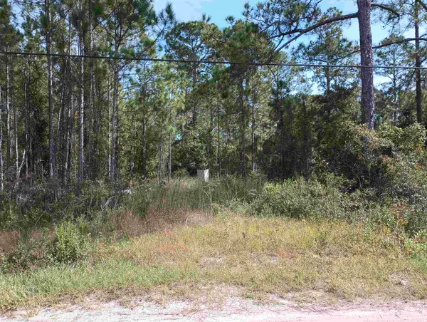 10520 Beckenger Ave, Hastings, FL 32145