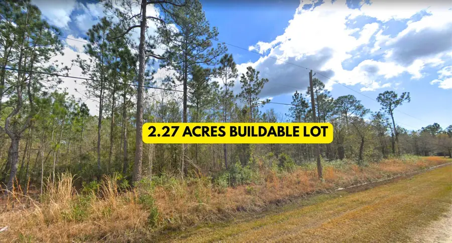 10270 Delgado Ave, Hastings, FL 32145 - #2