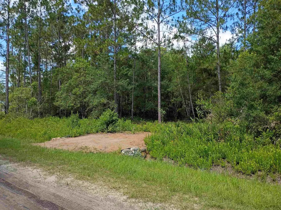 10545 Zigler Ave, Hastings, FL 32145 - #2