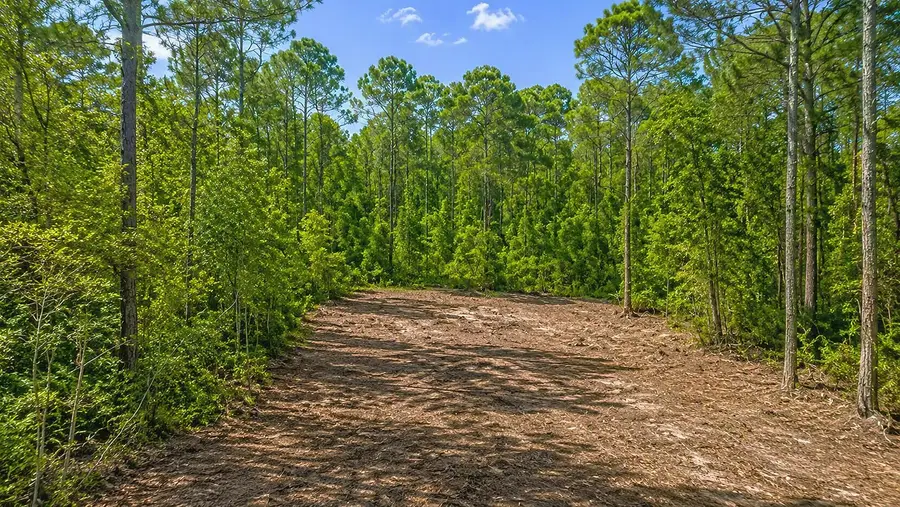 116 Terri Ave, Georgetown, FL 32139 - #2