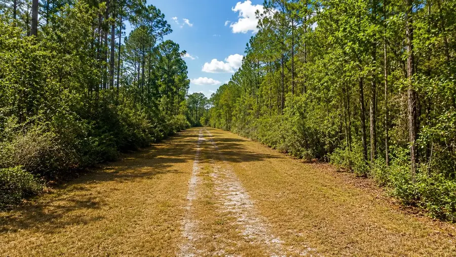 116 Terri Ave, Georgetown, FL 32139 - #3