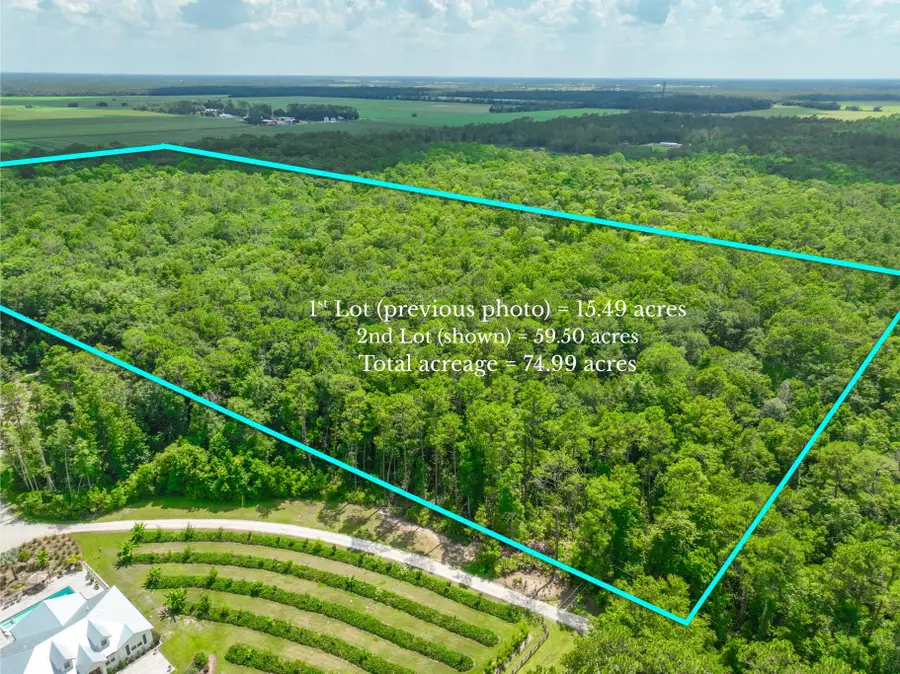 4235 Jefferson Ave, Hastings, FL 32145 - #3