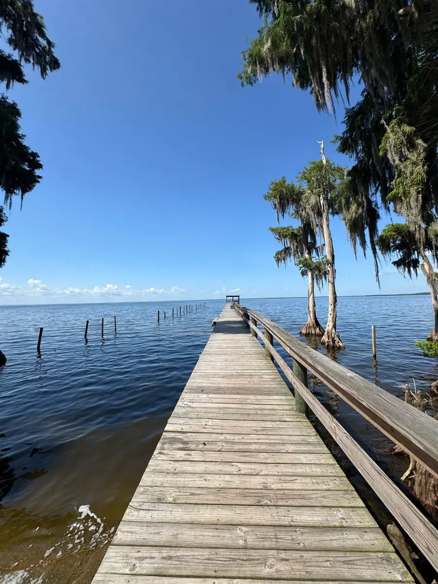 118 July Ave., Georgetown, FL 32139 - #3
