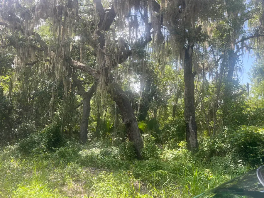 000 N 1st Street, Satsuma, FL 32189 - #3