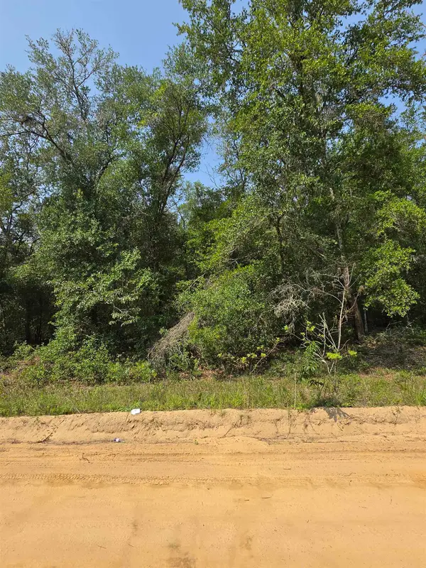 Sherman Drive Circle, Interlachen, FL 32148
