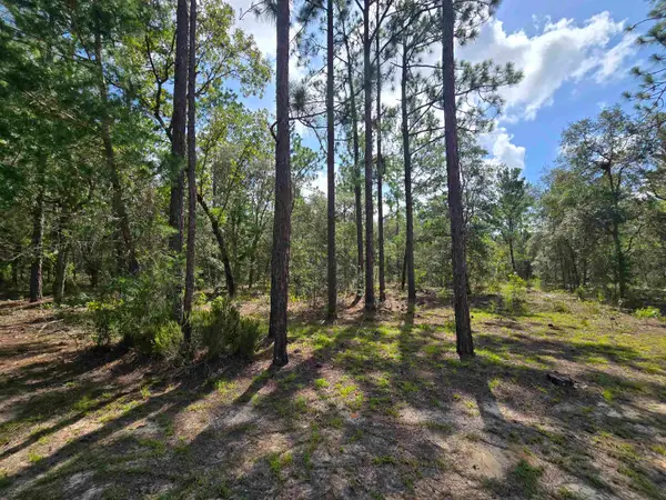 SW 57th Ave, Interlachen, FL 32148
