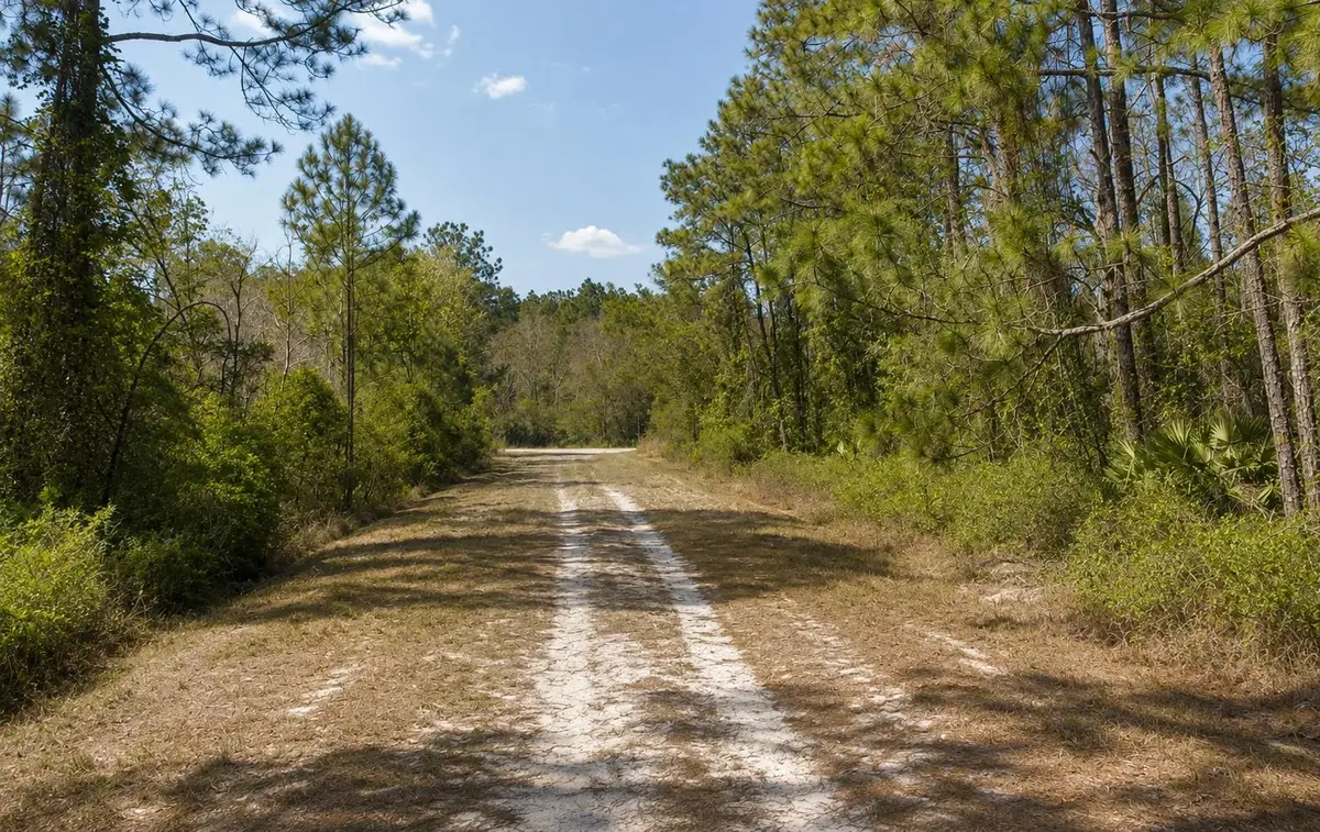 306 Carteret Rd, Georgetown, FL 32139 - #1