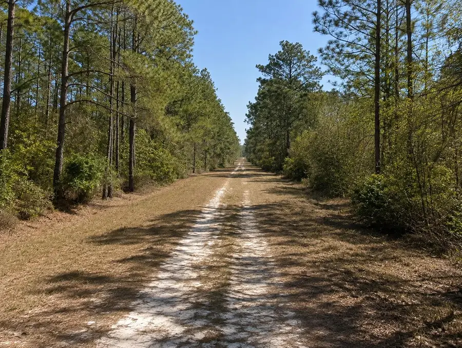 306 Carteret Rd, Georgetown, FL 32139 - #2