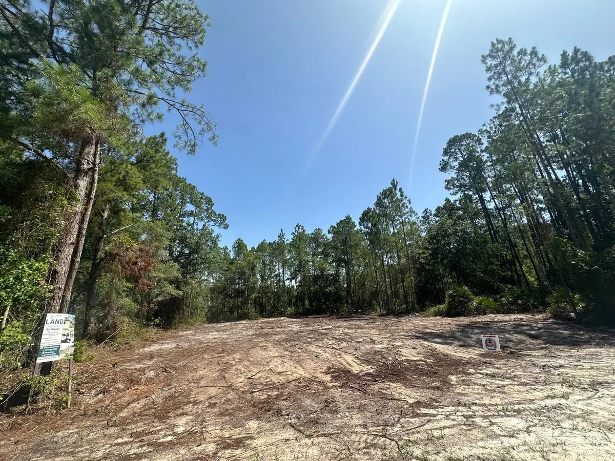 118 Rosewood St, Georgetown, FL 32139 - #1