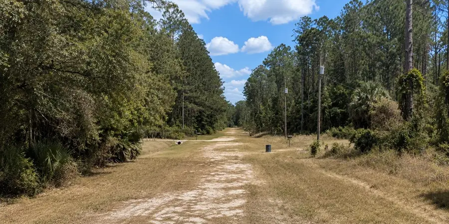 118 Rosewood St, Georgetown, FL 32139 - #2