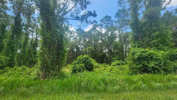 123 2nd St, Georgetown, FL 32139