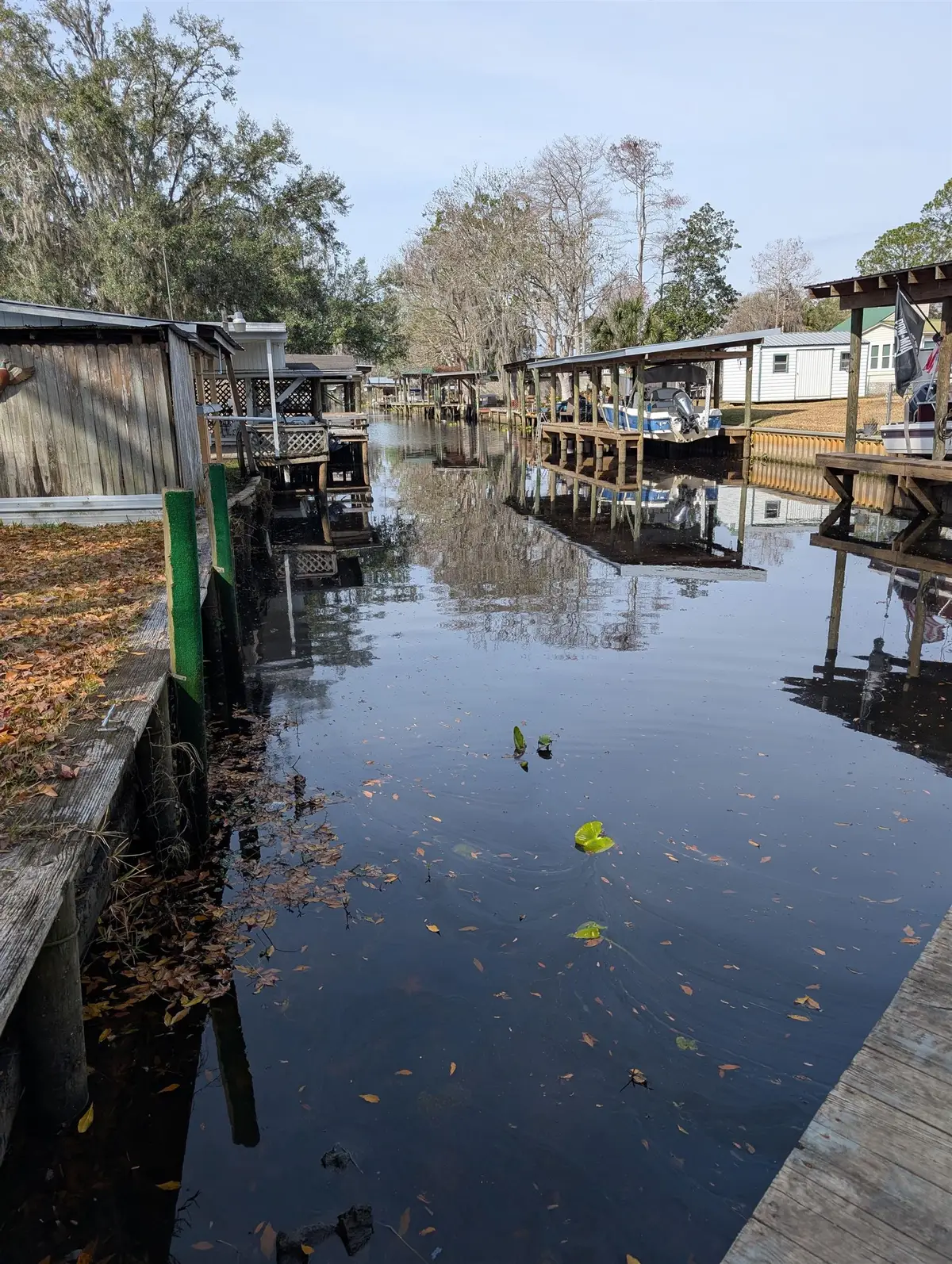 102 Edgewater, Satsuma, FL 32189 - #1