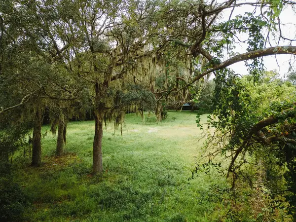 3025 Old Moultrie Road, St Augustine, FL 32086