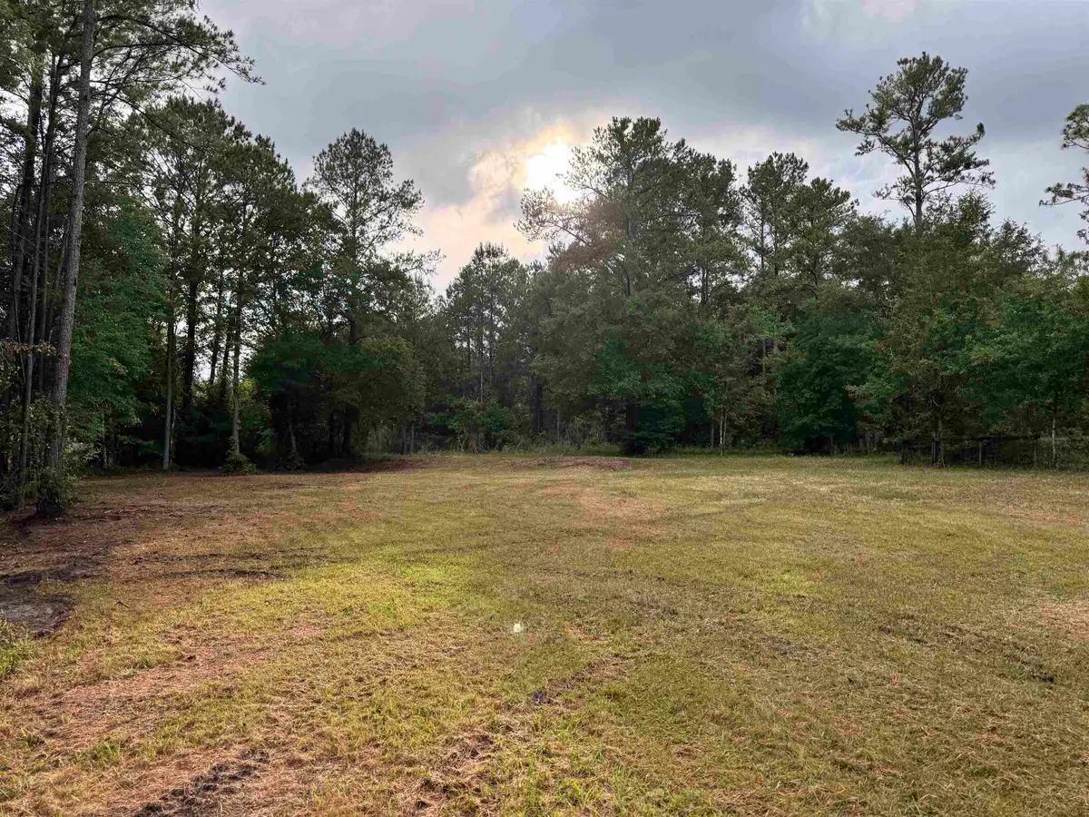 00 Harvest Way, Middleburg, FL 32068 - #1
