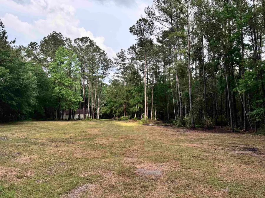 00 Harvest Way, Middleburg, FL 32068 - #3